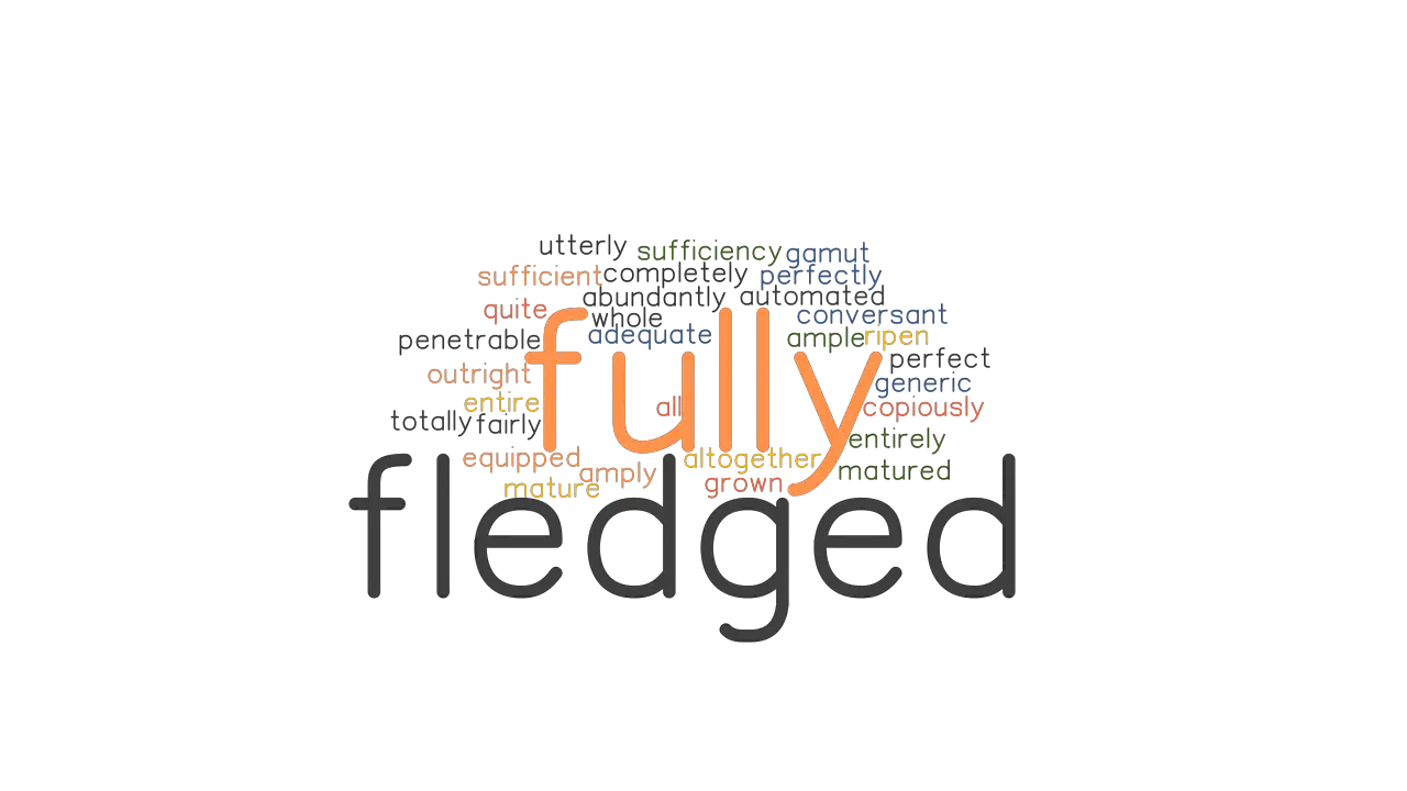 FULLY FLEDGED Synonyms And Related Words What Is Another Word For 