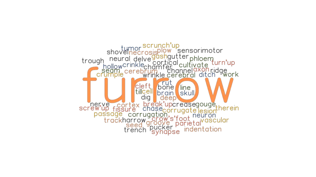 furrow-synonyms-and-related-words-what-is-another-word-for-furrow