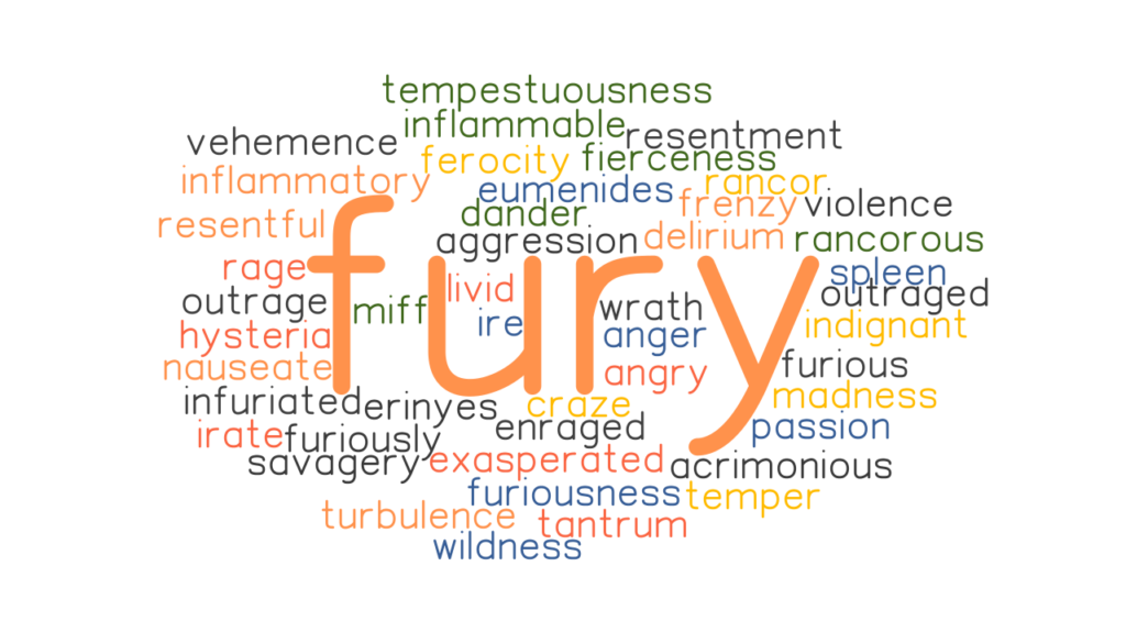 Fury Synonym