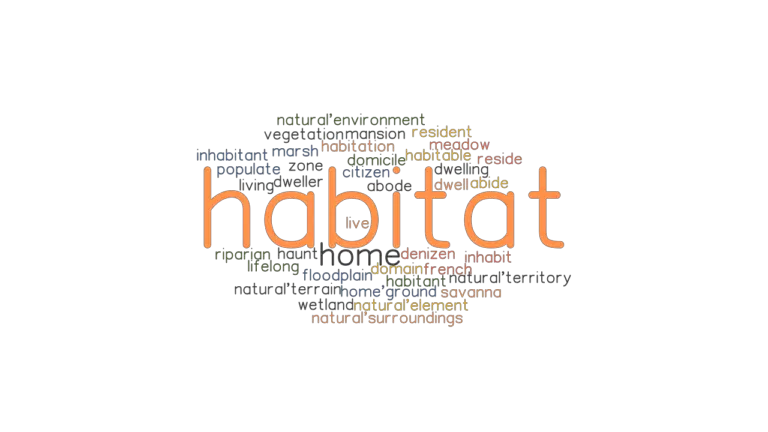 Habitable Synonyms In English