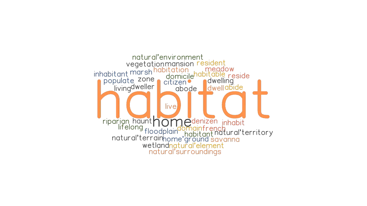 HABITAT: Synonyms and Related Words. What is Another Word for HABITAT? -  