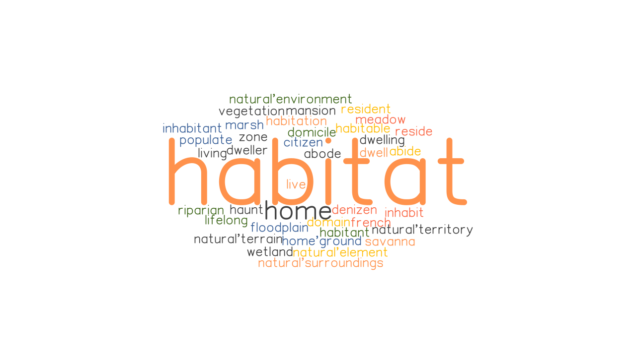 HABITAT Synonyms And Related Words What Is Another Word For HABITAT 