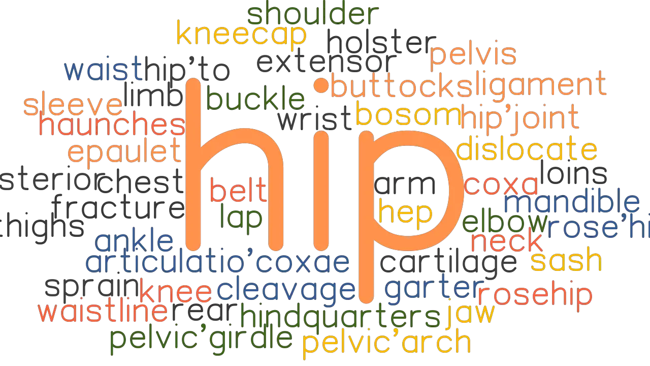 HIP Synonyms and Related Words. What is Another Word for HIP