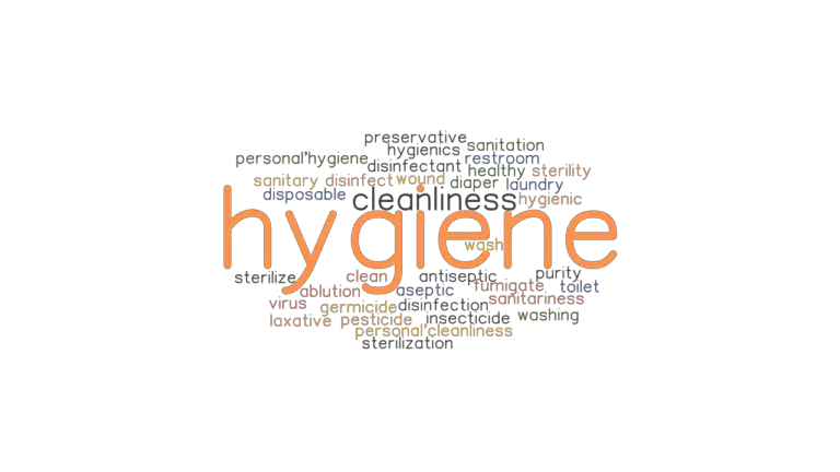 what-is-another-word-for-hygiene-products-at-richard-weaver-blog