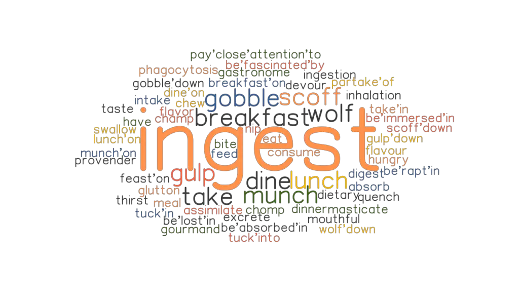 ingest-synonyms-and-related-words-what-is-another-word-for-ingest