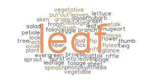 LEAF: Synonyms and Related Words. What is Another Word for LEAF ...