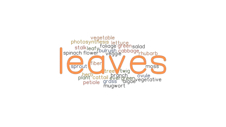 leaves-synonyms-and-related-words-what-is-another-word-for-leaves