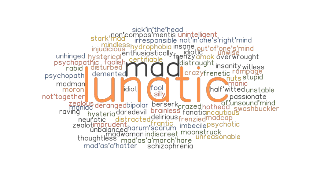 LUNATIC Synonyms And Related Words What Is Another Word For LUNATIC 