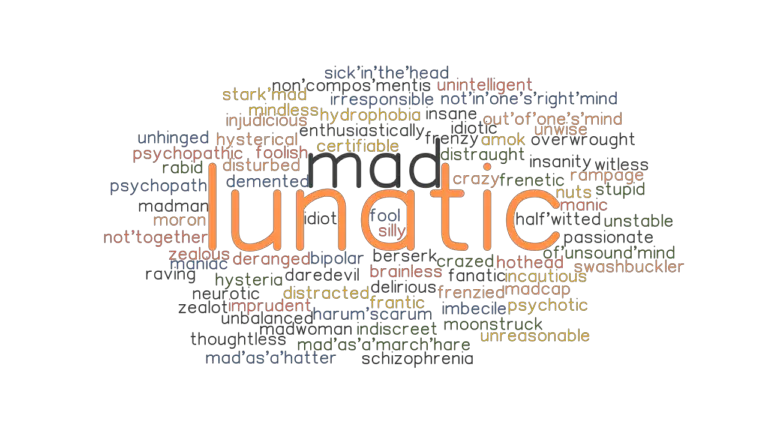 lunatic-synonyms-and-related-words-what-is-another-word-for-lunatic