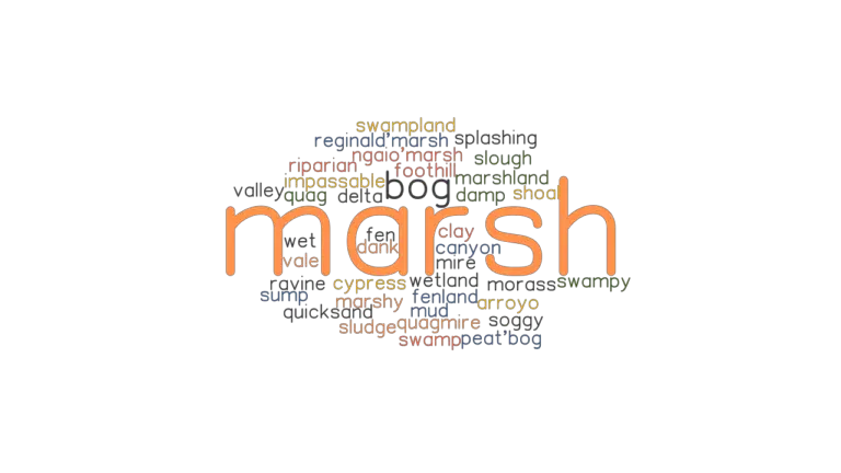 marsh-synonyms-and-related-words-what-is-another-word-for-marsh