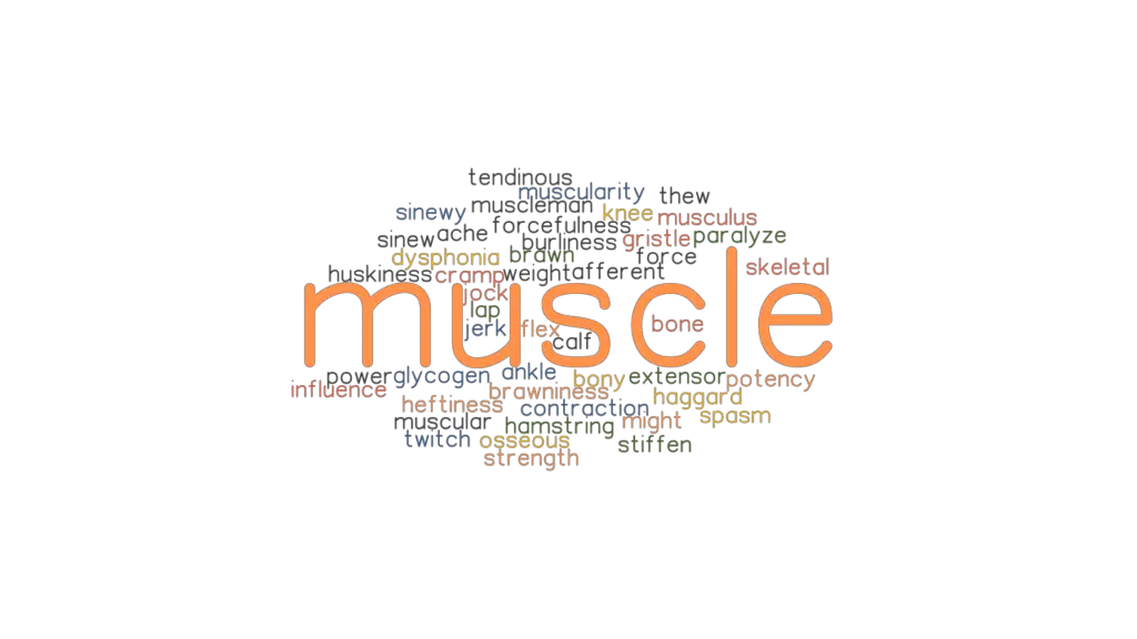 muscle-synonyms-and-related-words-what-is-another-word-for-muscle