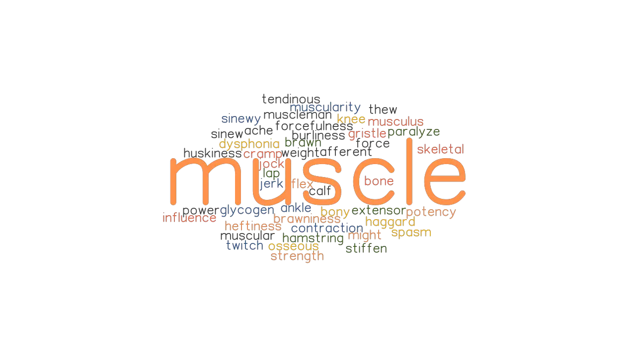 MUSCLE Synonyms And Related Words What Is Another Word For MUSCLE 