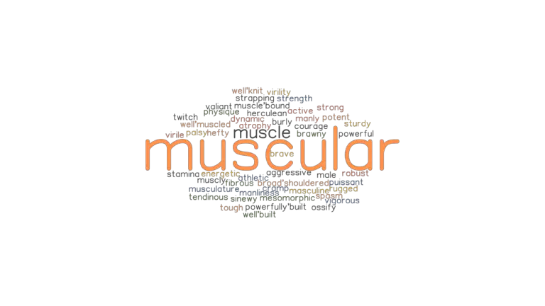 muscular-synonyms-and-related-words-what-is-another-word-for-muscular