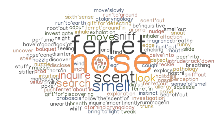 nose-synonyms-and-related-words-what-is-another-word-for-nose