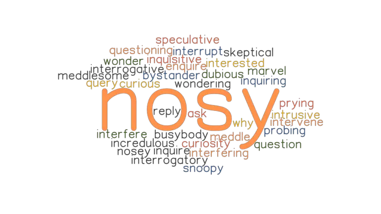 What Is A Good Word For Nosy