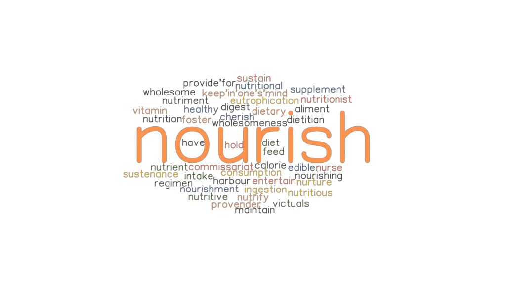 nourish-synonyms-and-related-words-what-is-another-word-for-nourish