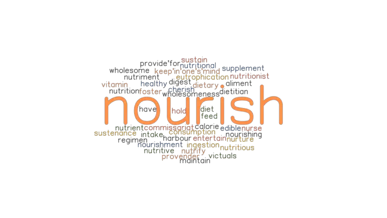 nourish-synonyms-and-related-words-what-is-another-word-for-nourish