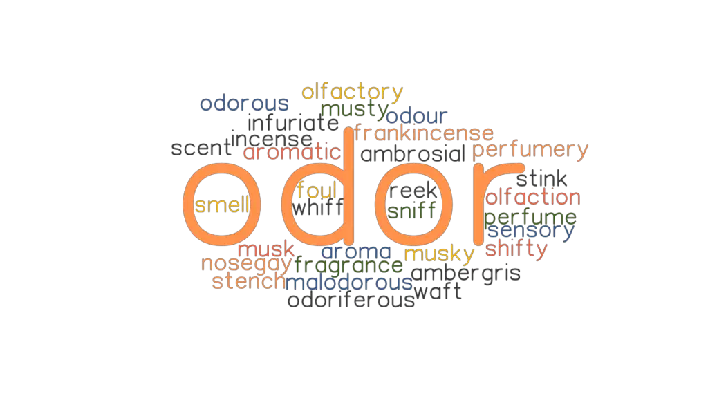 odor-synonyms-and-related-words-what-is-another-word-for-odor-grammartop