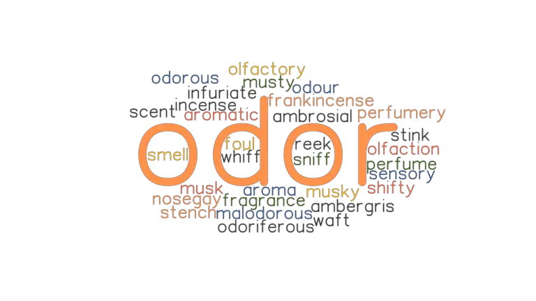 ODOR Synonyms And Related Words What Is Another Word For ODOR 