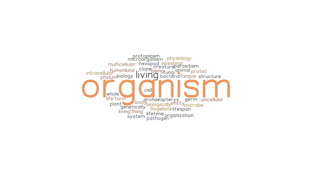 organism-synonyms-and-related-words-what-is-another-word-for-organism