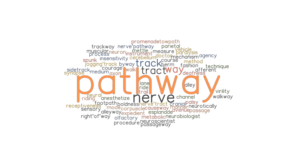 pathway-synonyms-and-related-words-what-is-another-word-for-pathway