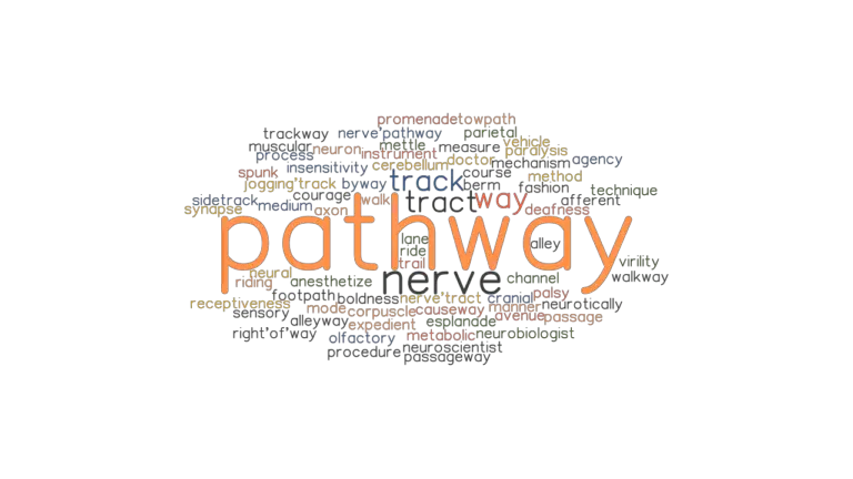 Another Word For Pathway Definition