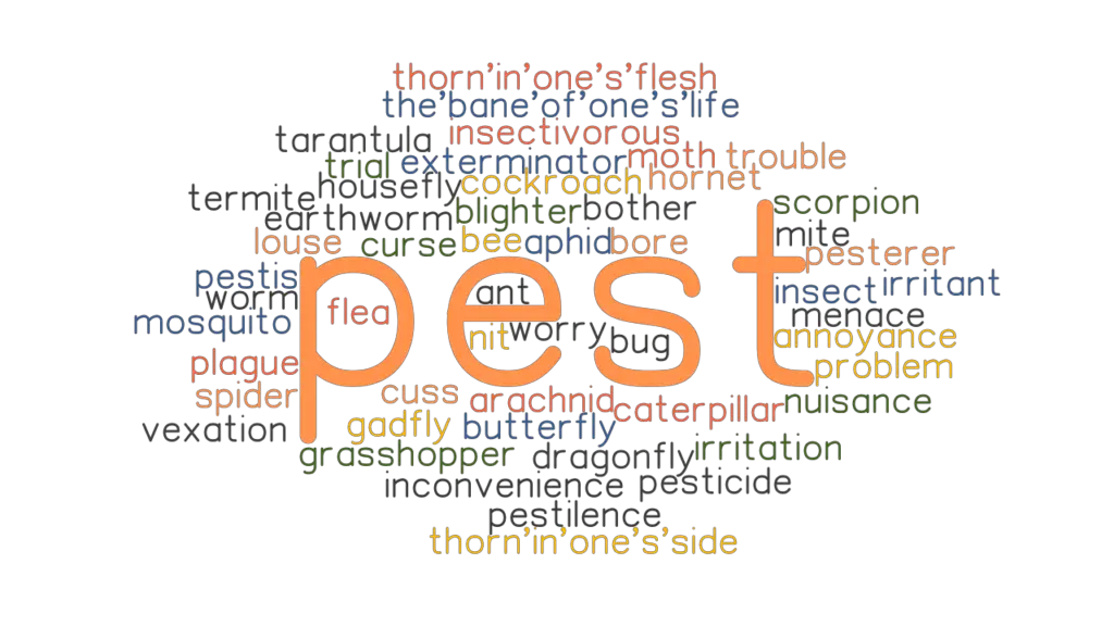 pest-synonyms-and-related-words-what-is-another-word-for-pest