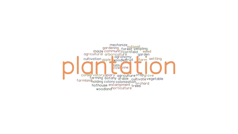 plantation-synonyms-and-related-words-what-is-another-word-for