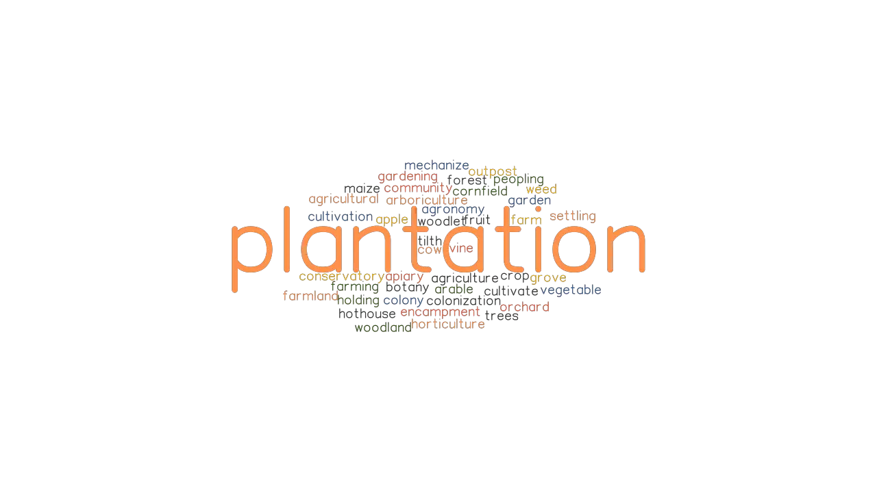 PLANTATION Synonyms And Related Words What Is Another Word For 