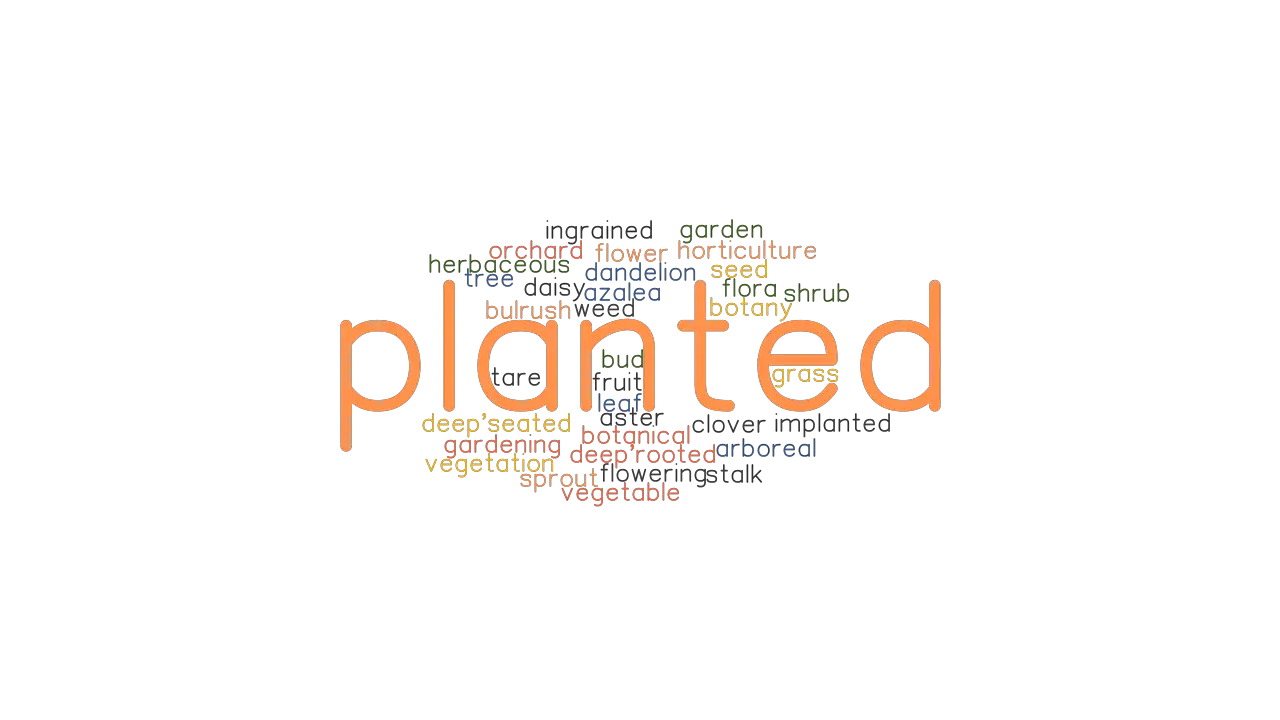 PLANTED Synonyms And Related Words What Is Another Word For PLANTED 