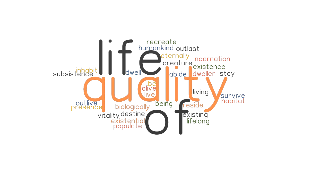 QUALITY OF LIFE Synonyms And Related Words What Is Another Word For 