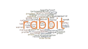 rabbit synonyms