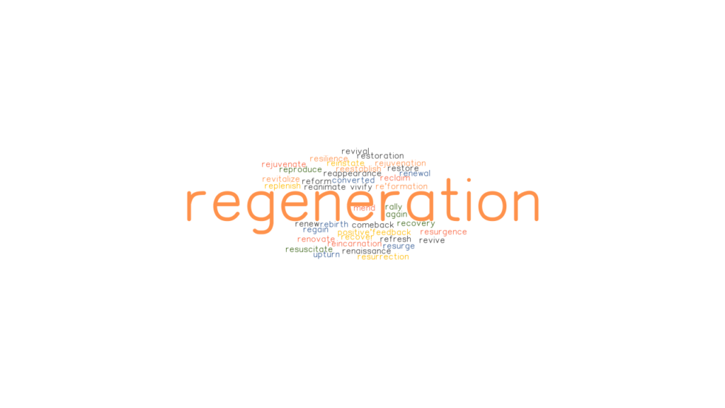 regeneration-synonyms-and-related-words-what-is-another-word-for