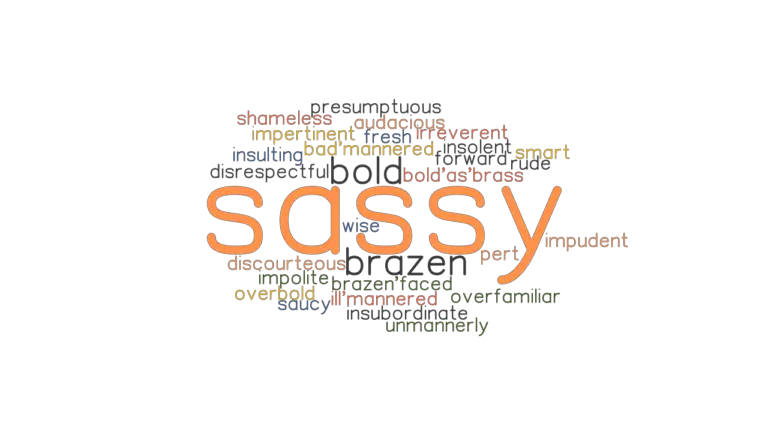 SASSY Synonyms and Related Words. What is Another Word