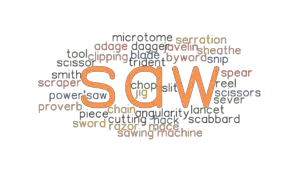 another word for saw in an essay