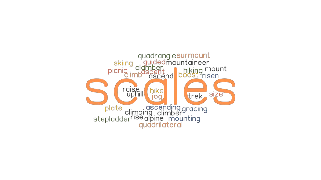 SCALES Synonyms and Related Words. What is Another Word for SCALES