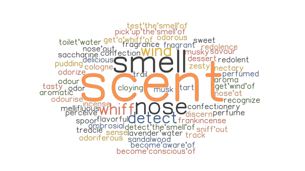 scent-synonyms-and-related-words-what-is-another-word-for-scent-grammartop