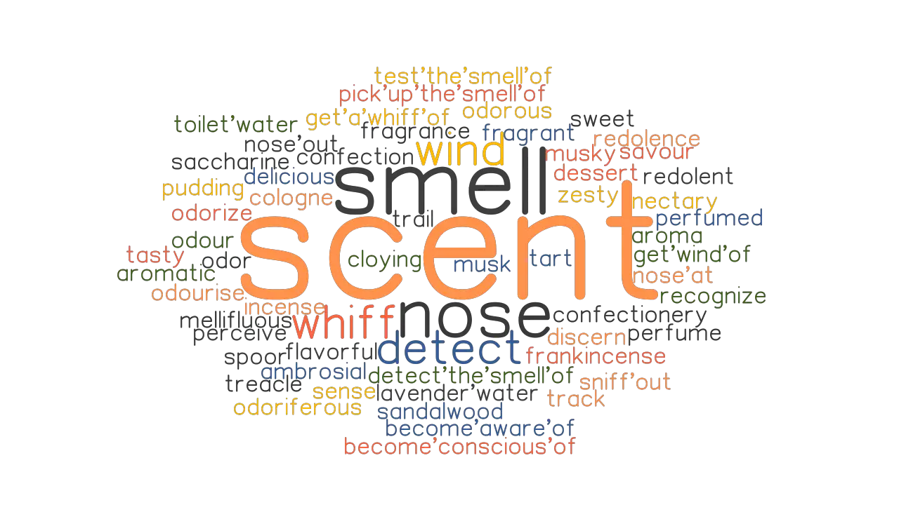 SCENT Synonyms and Related Words. What is Another Word for SCENT ...