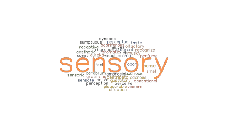 SENSORY: Synonyms and Related Words. What is Another Word for SENSORY ...