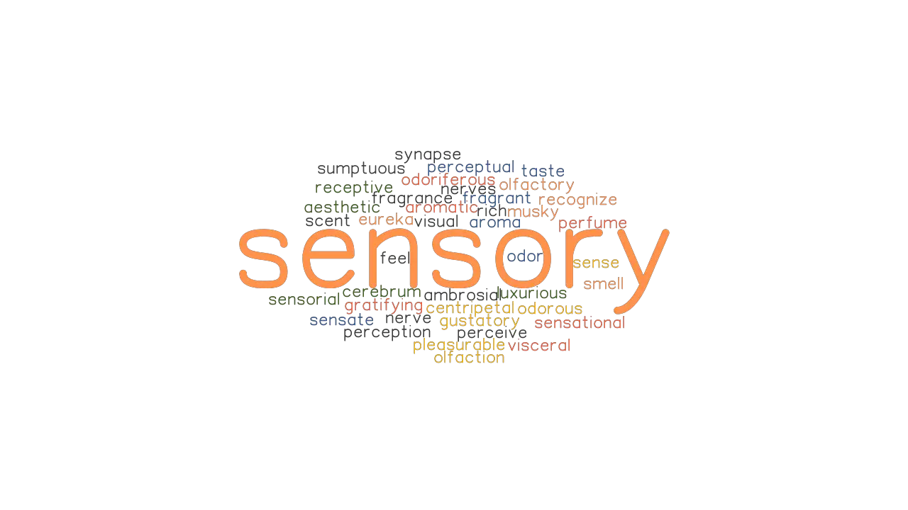 SENSORY Synonyms And Related Words What Is Another Word For SENSORY GrammarTOP