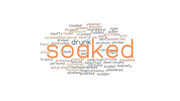 SOAKED: Synonyms and Related Words. What is Another Word for SOAKED ...