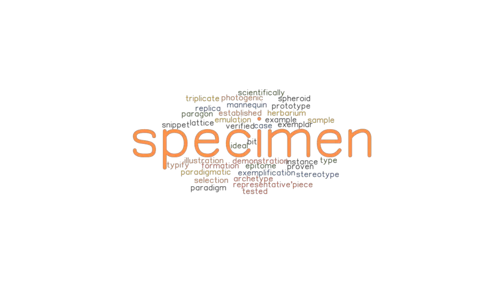 SPECIMEN Synonyms and Related Words. What is Another Word for SPECIMEN