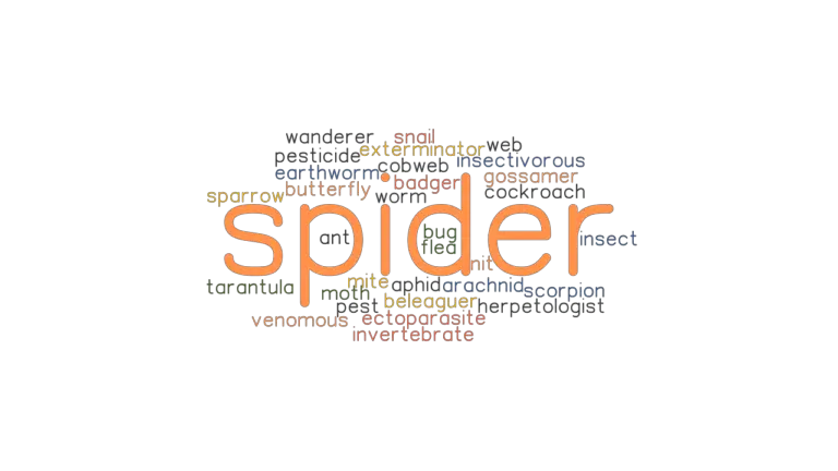 spider-synonyms-and-related-words-what-is-another-word-for-spider