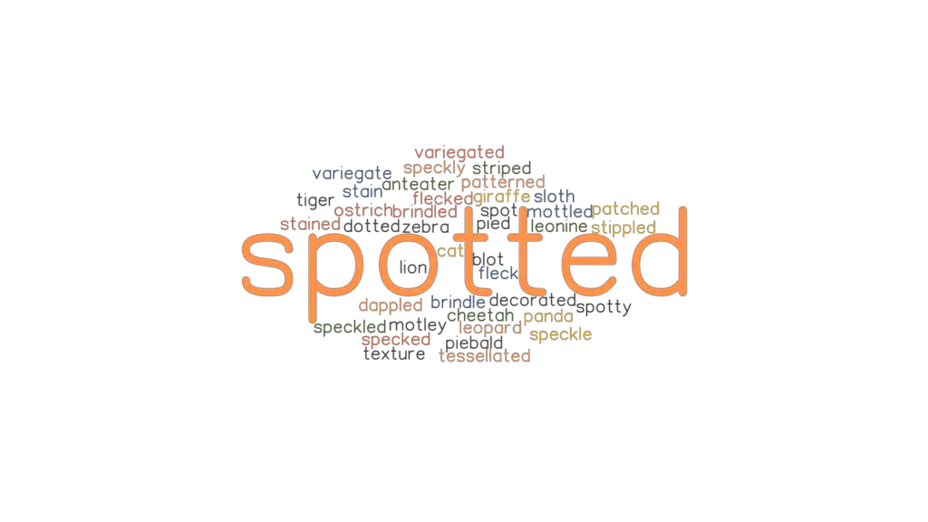 SPOTTED Synonyms And Related Words What Is Another Word For SPOTTED 