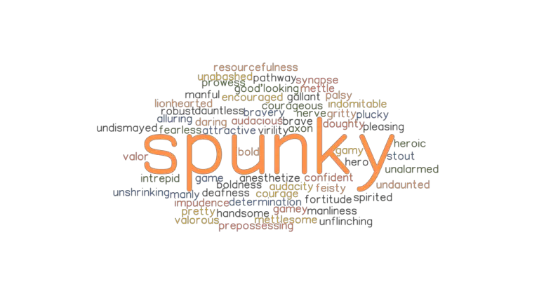 SPUNKY: Synonyms and Related Words. What is Another Word for SPUNKY ...