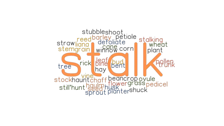 stalk-synonyms-and-related-words-what-is-another-word-for-stalk