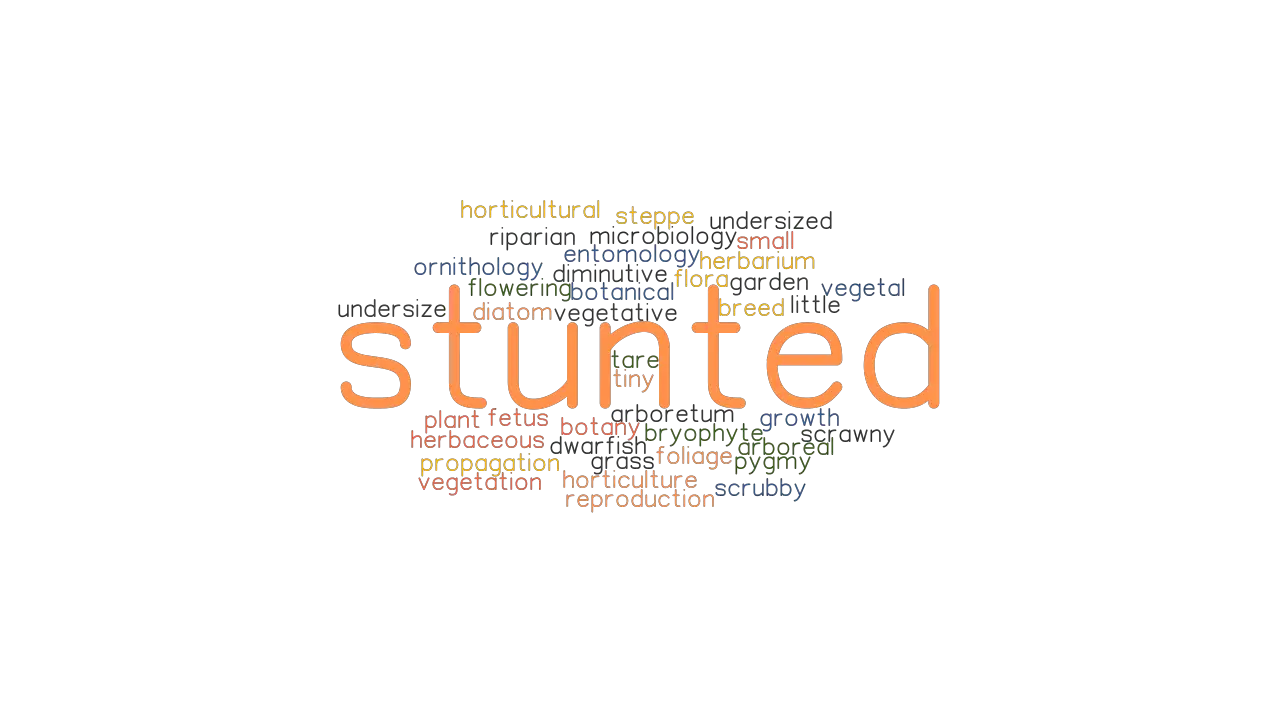 STUNTED Synonyms And Related Words What Is Another Word For STUNTED 