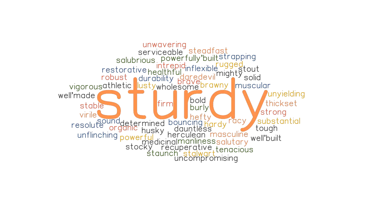 STURDY Synonyms And Related Words What Is Another Word For STURDY 