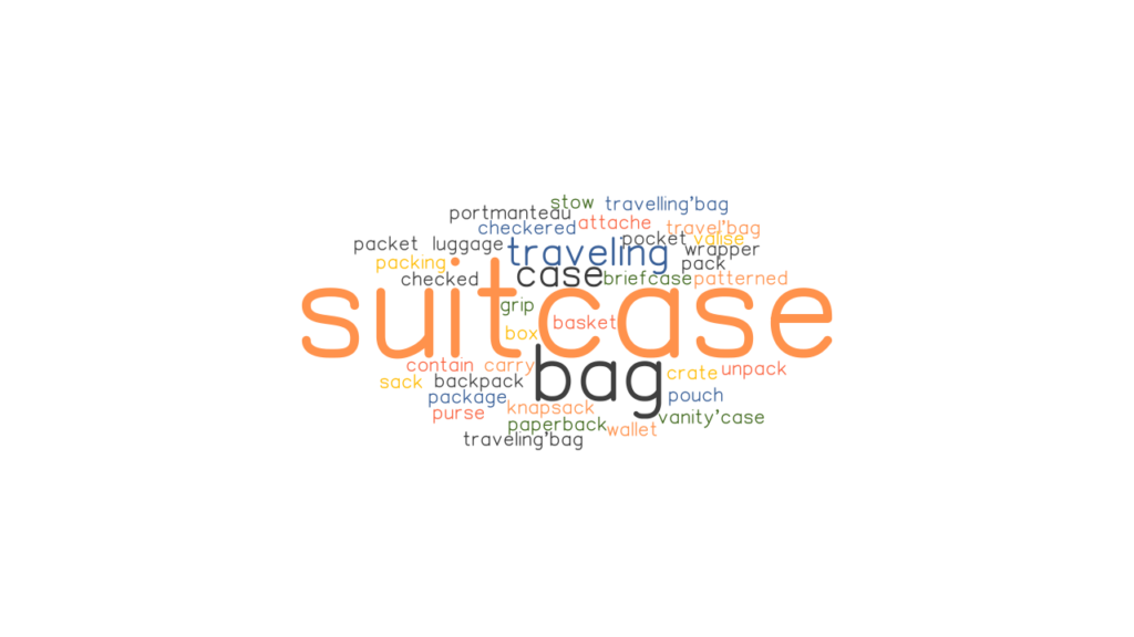 Another Word For Suitcase