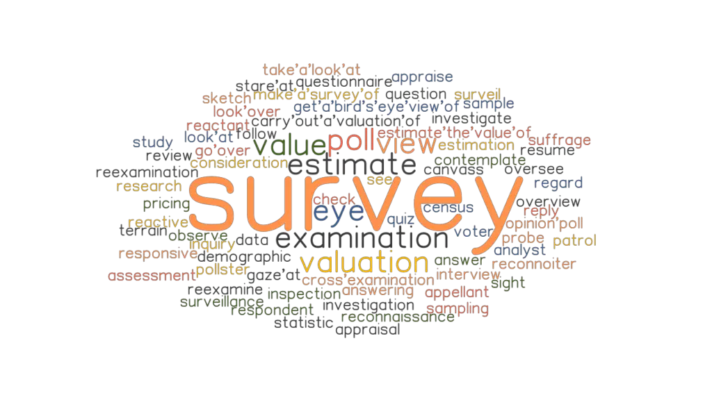 SURVEY Synonyms and Related Words. What is Another Word for SURVEY